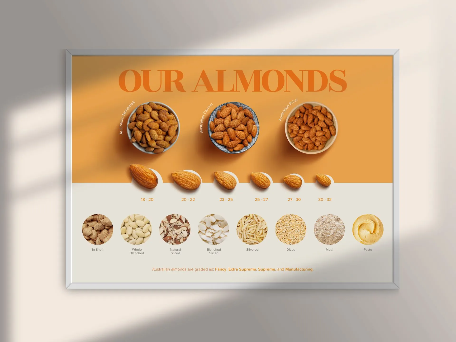 Australian Almonds - A3 Poster
